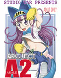 PROJECT ARALE 2